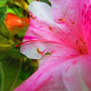 Meet your Posher, Wendy